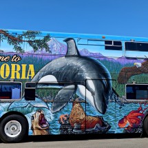 Welcome bus of Victoria